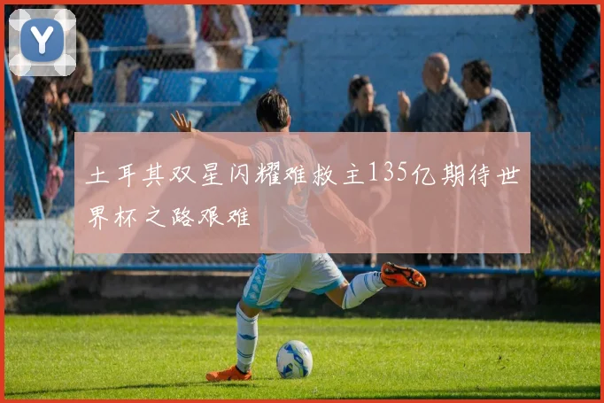 土耳其双星闪耀难救主135亿期待世界杯之路艰难