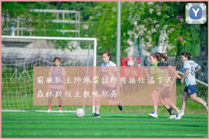 前狼队主帅佩雷拉即将接任诺丁汉森林新任主教练职务
