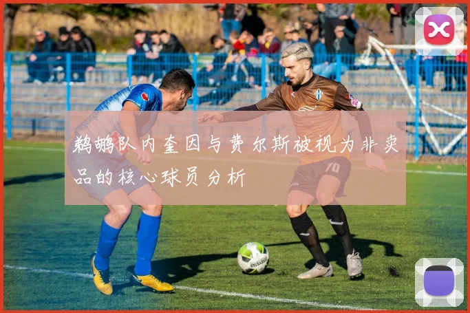 鹈鹕队内奎因与费尔斯被视为非卖品的核心球员分析