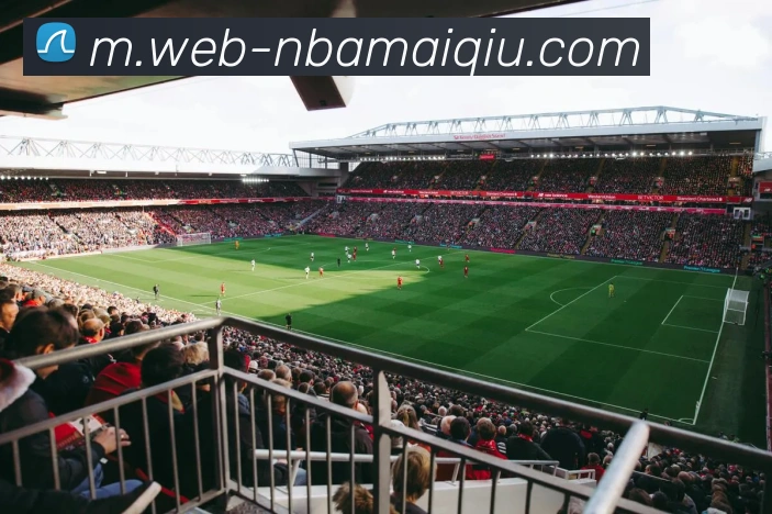 多媒体互动体验